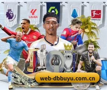 国际化进程（dbbuyu）